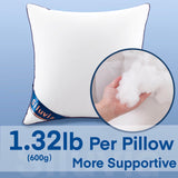 18"x18" Pillow Inserts Set of 2 Decorative 18" Pillow Inserts with 100% Cotton Cover Square Interior Sofa Throw Pillow Inserts Decorative White Pillow Insert Pair Couch Pillow - Emolli