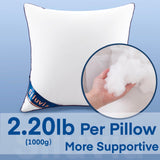 18"x18" Pillow Inserts Set of 2 Decorative 18" Pillow Inserts with 100% Cotton Cover Square Interior Sofa Throw Pillow Inserts Decorative White Pillow Insert Pair Couch Pillow - Emolli
