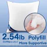 18"x18" Pillow Inserts Set of 2 Decorative 18" Pillow Inserts with 100% Cotton Cover Square Interior Sofa Throw Pillow Inserts Decorative White Pillow Insert Pair Couch Pillow - Emolli