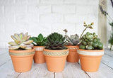 My Urban Crafts 16 Pcs Small Mini Clay Pots 2.5” x 3” Terra Cotta Pots Terracotta Cactus Flower Pots Ceramic Pottery Planters Succulent Nursery Pots for Indoor/ Outdoor Plants, Crafts, Wedding Favors