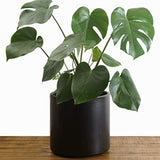 Indoor Flower Pot | Large Modern Planter, Terracotta Ceramic Plant Pot - Plant Container Great for Plant Stands (8.5 inch, Black)