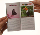 Cosmos Kitchen Knife Set in Gift Box - Unique Gifts For Men and For Women - 6-Piece Colorful Cooking Chef Knives Set