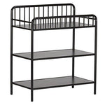 Little Seeds Rowan Valley Lanley Metal Crib and Changing Table Set, Black