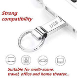 DXBUFU 256GB Silver Metal Compatible 2.0 &3.0 256GB USB Flash Drive, Portable Waterproof Metal Pen Drive Storage Keychain Thumb Drive Memory Stick with Anti-Lost Keychain (256GB)