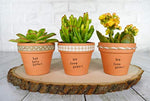 My Urban Crafts 16 Pcs Small Mini Clay Pots 2.5” x 3” Terra Cotta Pots Terracotta Cactus Flower Pots Ceramic Pottery Planters Succulent Nursery Pots for Indoor/ Outdoor Plants, Crafts, Wedding Favors