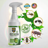 MDXconcepts Organic Home Pest Control Spray - Kills & Repels, Ants, Roaches, Spiders, and Other Pests Guaranteed - All Natural Insect Killer - Child & Pet Safe - Indoor/Outdoor Spray - 16oz