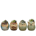 YLINGSU Cerami Succulent Cactus Plant Flower Conta 6 in Set 2.5 inch Owl Pot Ceramic Flowing Glaze Base Serial, Blue (Plants not included)