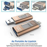 USB Flash Drive 256GB for iPhone Photo Stick backup iPhone Memory Stick External Storage Thumb Drive for iPhone 11 Pro X XR XS MAX 6 7 8 Plus iPad Pro PC Android Password Touch ID Protected Flash Gold