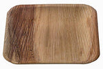 Pure Palm Planet Friendly Plates; Upscale Disposable Dinnerware; All-Natural Compostable Plateware (7" Square) (25 pack)