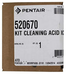 Pentair 520670 IntelliChlor Salt Cell Chlorinator Scale Acid Cleaning Kit IChlor (2 Pack)