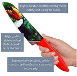 Cosmos Kitchen Knife Set in Gift Box - Unique Gifts For Men and For Women - 6-Piece Colorful Cooking Chef Knives Set