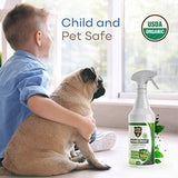 MDXconcepts Organic Home Pest Control Spray - Kills & Repels, Ants, Roaches, Spiders, and Other Pests Guaranteed - All Natural Insect Killer - Child & Pet Safe - Indoor/Outdoor Spray - 16oz