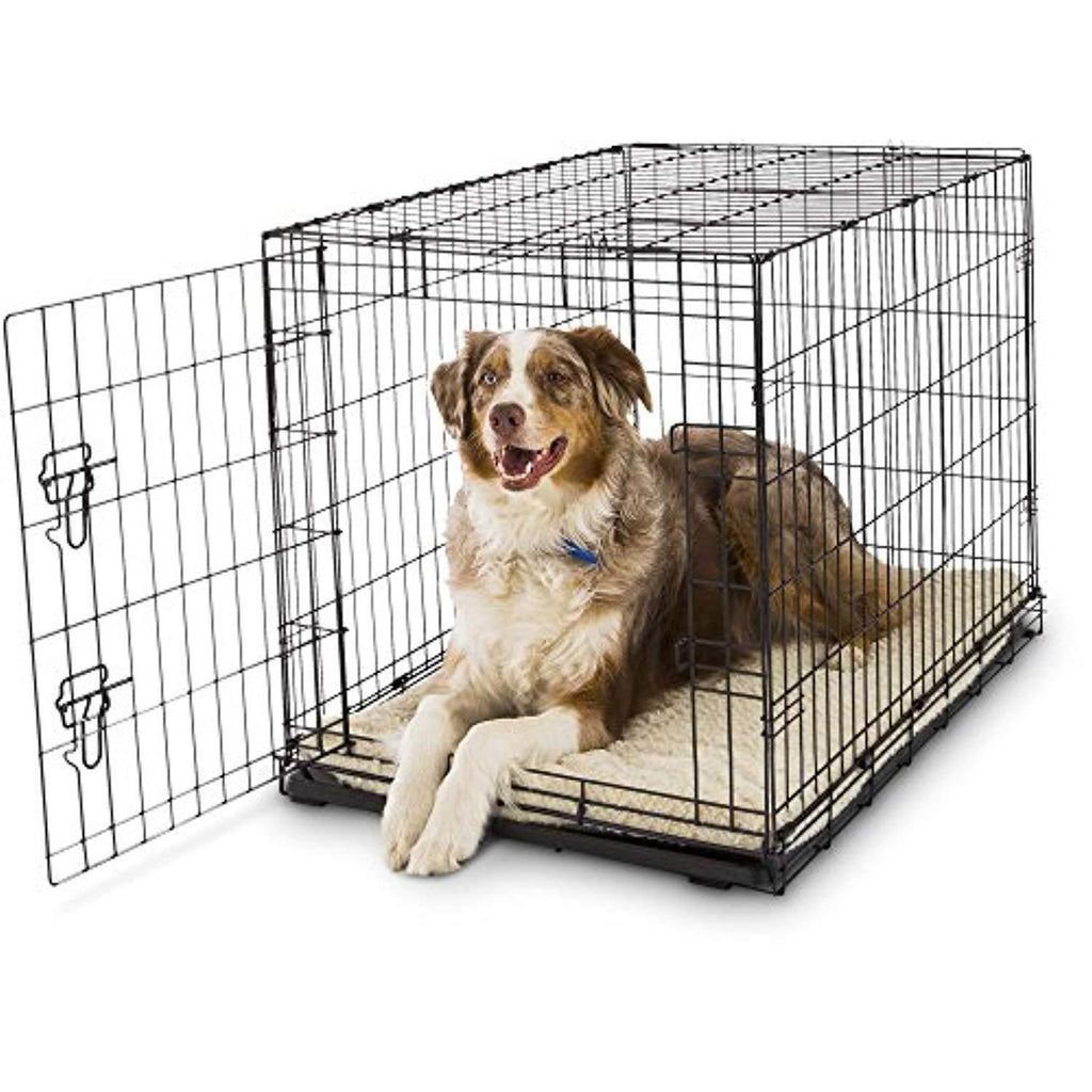 Petco Classic 1-Door Dog Crate, 36" L x 23" W x 25" H, Large, Black ...