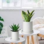 MoonLa Plant Pots - 5.7 + 4.8 Inch White Matt Ceramic Planter for Flower, Cactus, Succulent Planting, with Drainage Hole & Saucer, Set of 2 (Plants Not Included)