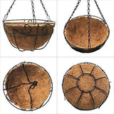 Metal Hanging Planter Basket with Coco Coir Liner 12 Inch Round Wire Plant Holder with Chain Porch Decor Flower Pots Hanger Garden Decoration Indoor Outdoor Watering Hanging Baskets by AMAGABELI GARDEN & HOME