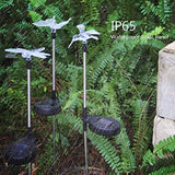 OxyLED Solar Garden Lights, 3 Pack Solar Stake Light Hummingbird Butterfly Dragonfly, Solar Powered Pathway Lights, Multi-Color Changing LED Lights, Outdoor Lighting for Garden/Patio/Lawn