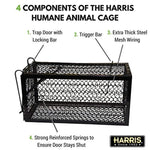 Harris Catch & Release Humane Cage Trap for Rats, Chipmunks, and Small Squirrels (2-Pack)