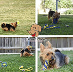 Premium Indoor and Outdoor Dog Toys Set by Terrier Chewz. Suitable Rope and Rubber Chew Toys for Small Breed Dogs and Puppys. Durable and Washable. Pack of 8