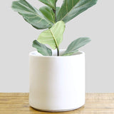 Indoor Flower Pot | Large Modern Planter, Terracotta Ceramic Plant Pot - Plant Container Great for Plant Stands (8.5 inch, Black)